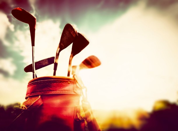 Golf clubs in a leather baggage in vintage retro style photowallpaper Scandiwall