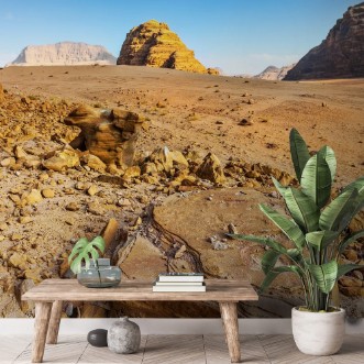 Picture of Wadi Rum desert reg