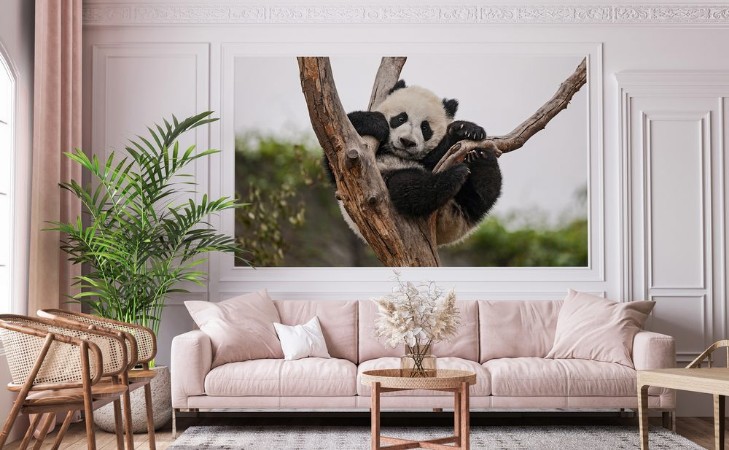 Image de Giant Baby Panda Hanging on a Tree