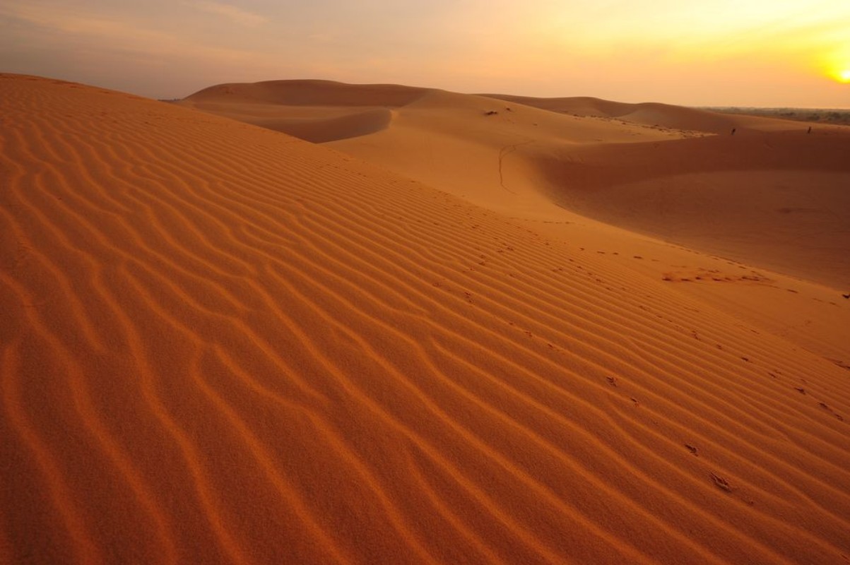 Bild på Deserts Landscape
