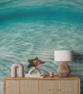 Bild på Caribbean seastar and sand
