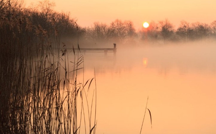 Bild på Foggy and yellow sunrise at a jetty in a lake