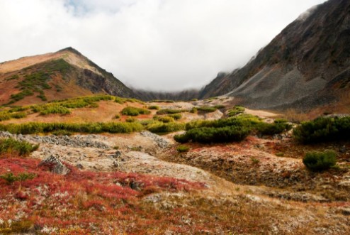 Bild på Autumn landscape in Kamchatka