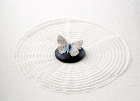 Afbeeldingen van Zen stone with butterfly