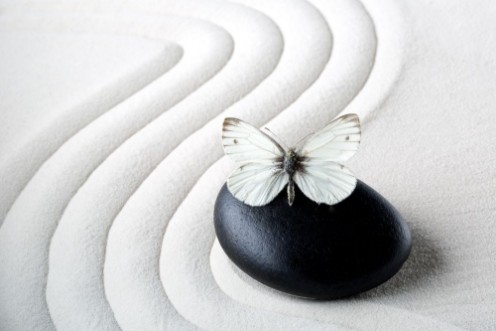Afbeeldingen van Zen stone with butterfly