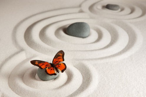 Picture of Zen rocks with butterfly