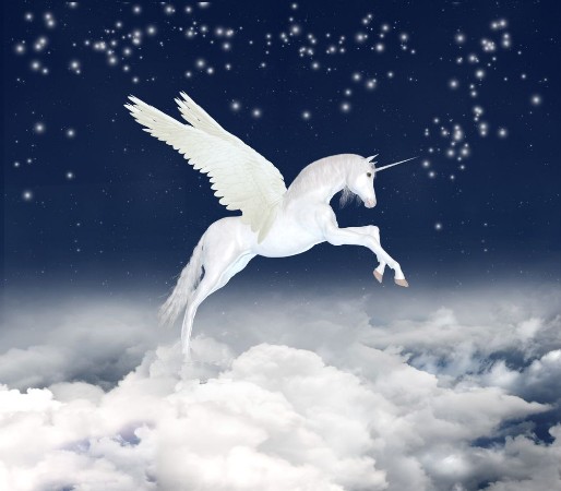 Bild på Unicorn in the sky
