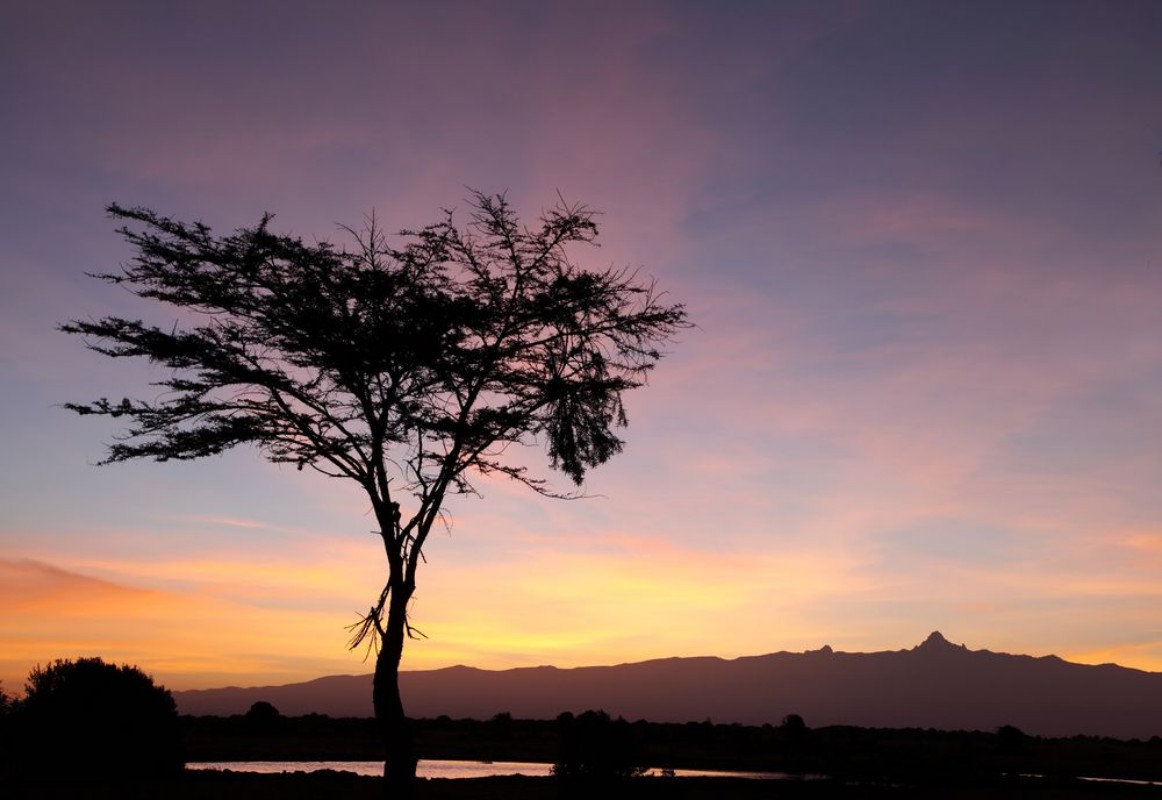 Afbeeldingen van Mount kenya during sunrise Ol Pejeta Conservancy kenya