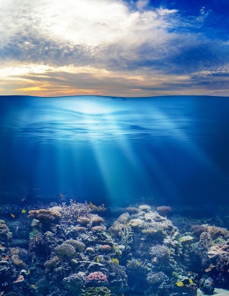 Picture of Sea or ocean underwater life with sunset sky