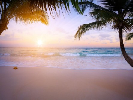 Art Beautiful sunrise over the tropical beach photowallpaper Scandiwall