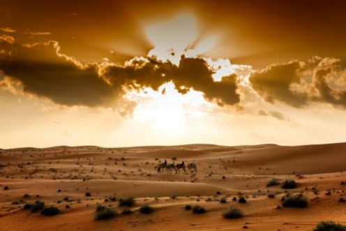 Bild på Desert Wahiba Oman