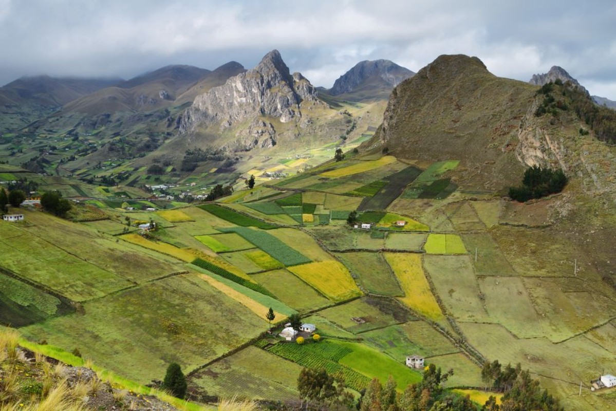 Afbeeldingen van View of colorful terrace fields