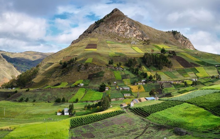 Picture of View of colorful terrace fields