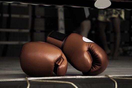 Bild på Boxing Glove Vintage