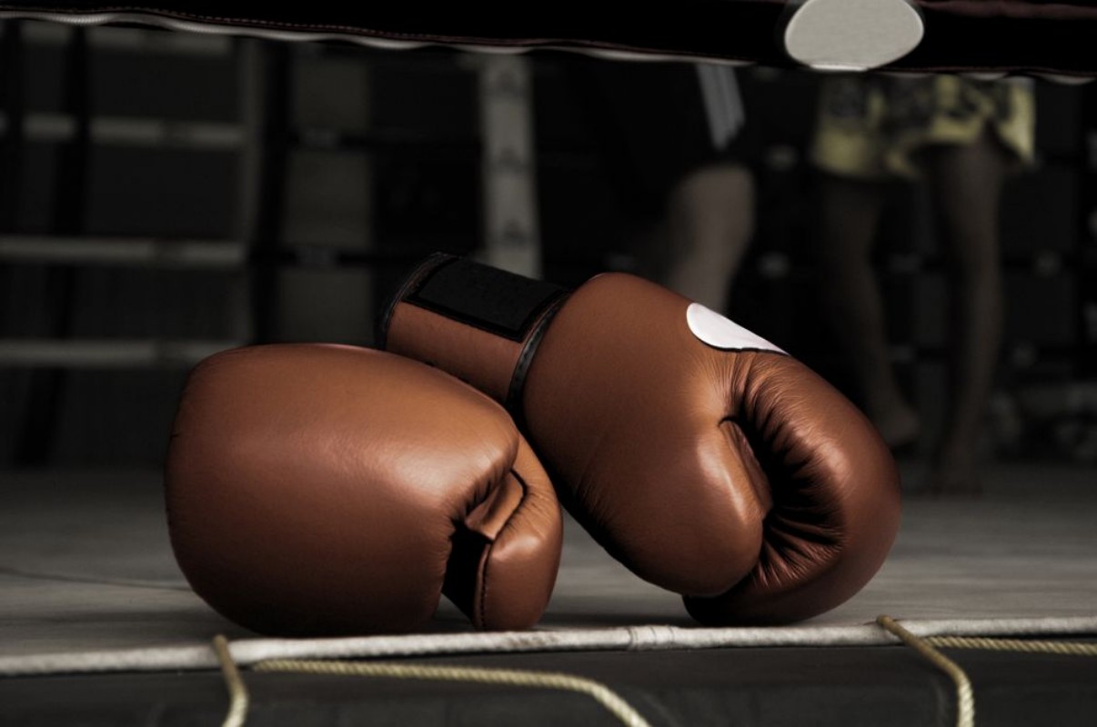 Afbeeldingen van Boxing Glove Vintage