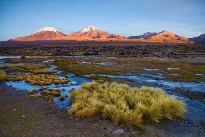 Bild på Altiplano