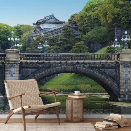 Picture of Imperial Palace Japan