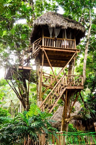 Afbeeldingen van Traumhaus Baumhaus im Tropischen Regenwald 