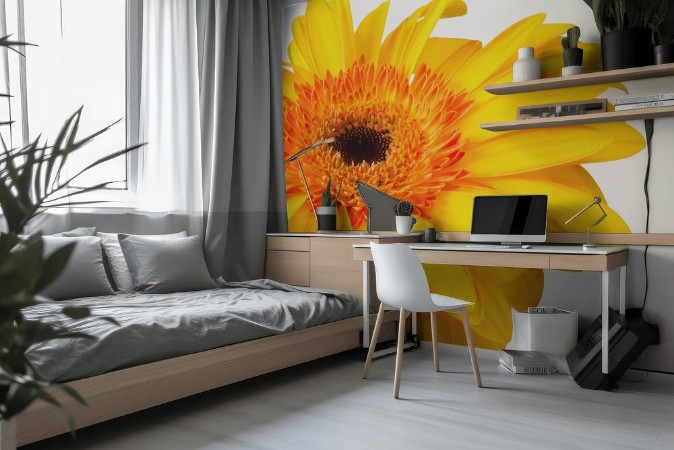 Image de Bright yellow and orange gerbera on white