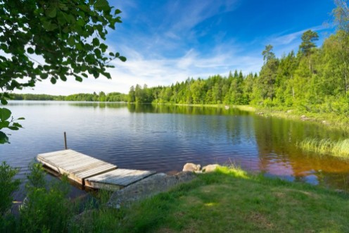 Bild på Summer Swedish lake in morning light