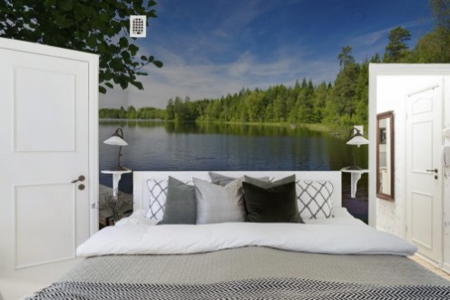 Bild på Summer Swedish lake in morning light