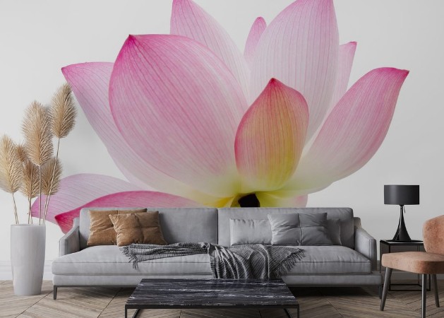 Bild von Isolated lotus