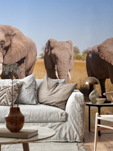 Afbeeldingen van Elephant Herd