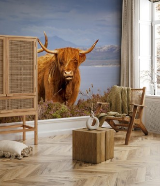 Image de Scottish Cow IV