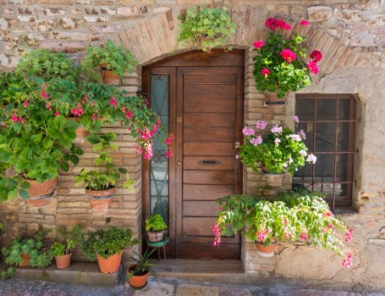 Afbeeldingen van Elegante porta di legno con fiori