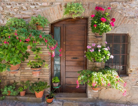 Bild på Elegante porta di legno con fiori