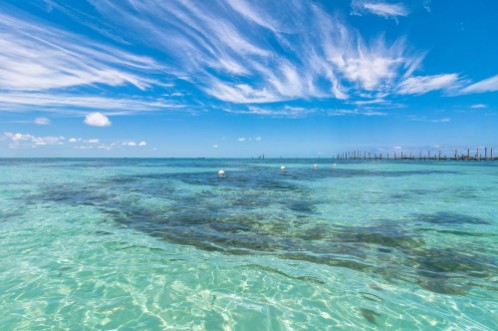 Afbeeldingen van Tropical sea in Isla Mujeres Mexico