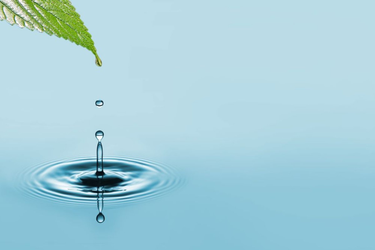 Picture of Water drop