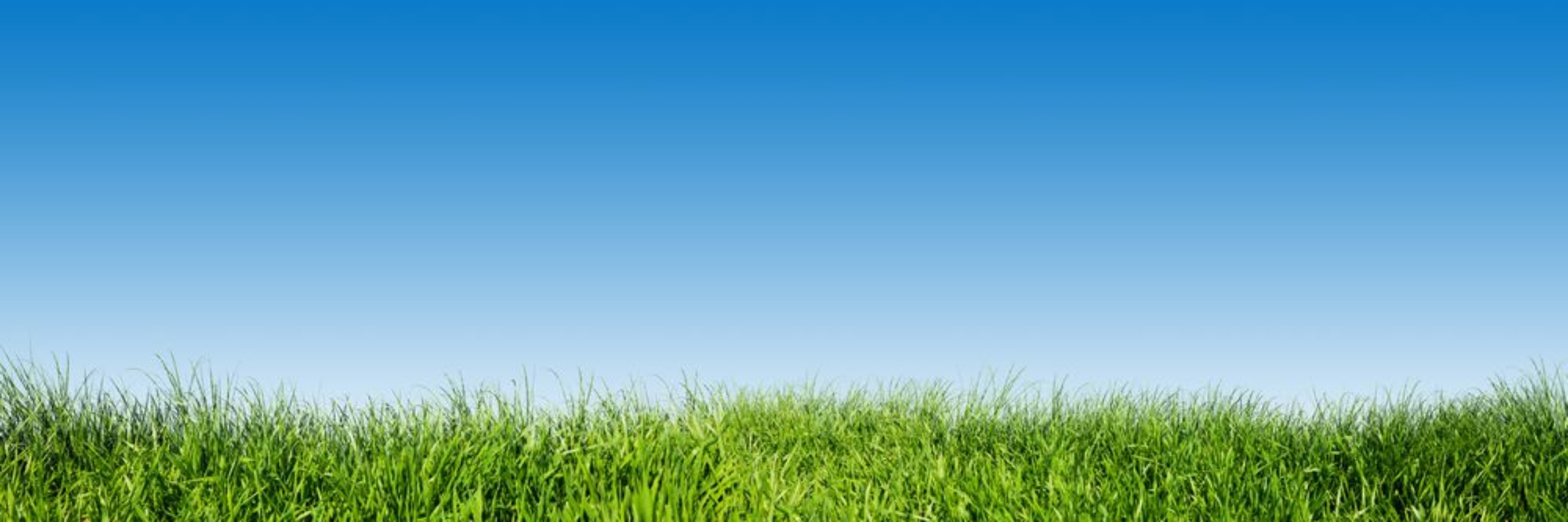 Imagem de Panoramic Grass and Sky