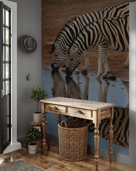 Picture of Plains Zebras drinking water Etosha National Park