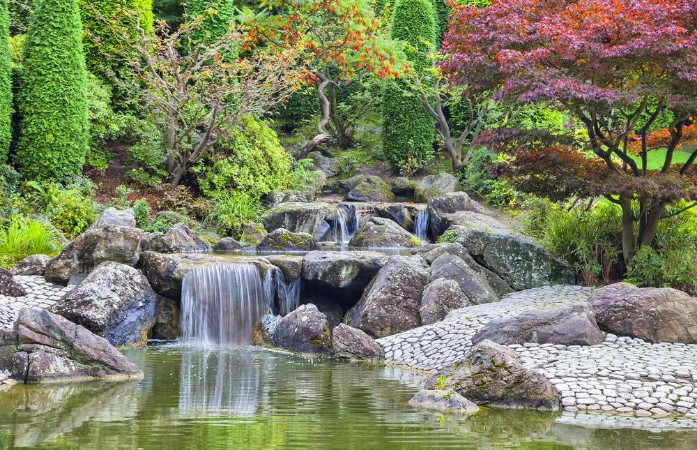 Bild på Cascade waterfall in Japanese garden in Bonn