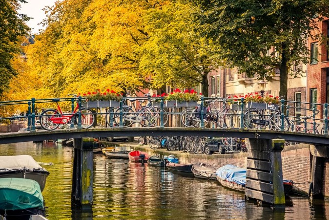 Picture of Canal in Amsterdam