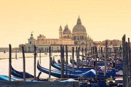 Picture of Gondolas Venice