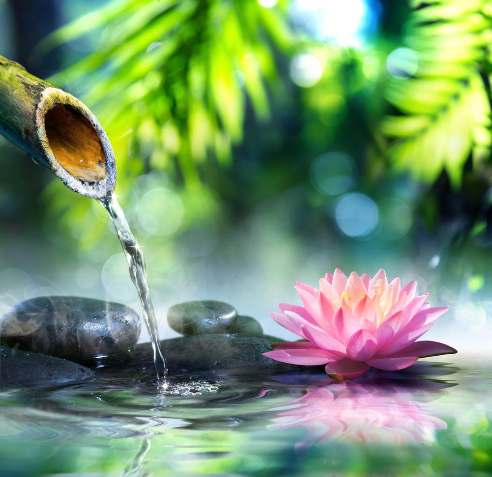 Zen garden with black stones and pink waterlily