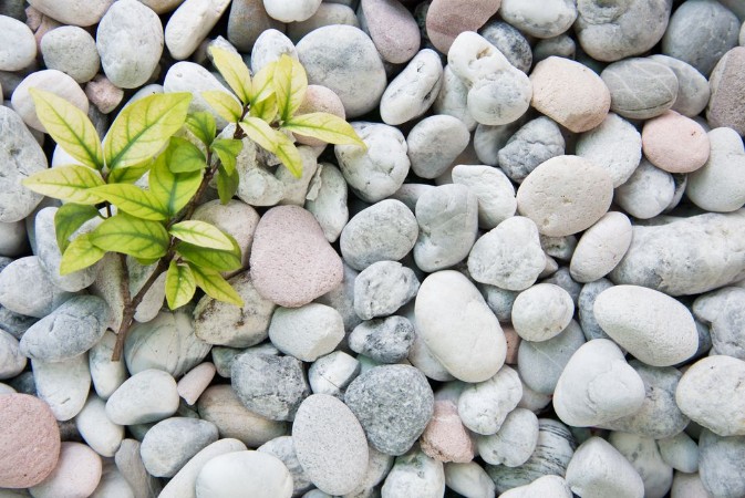 Image de White stones and pebble background