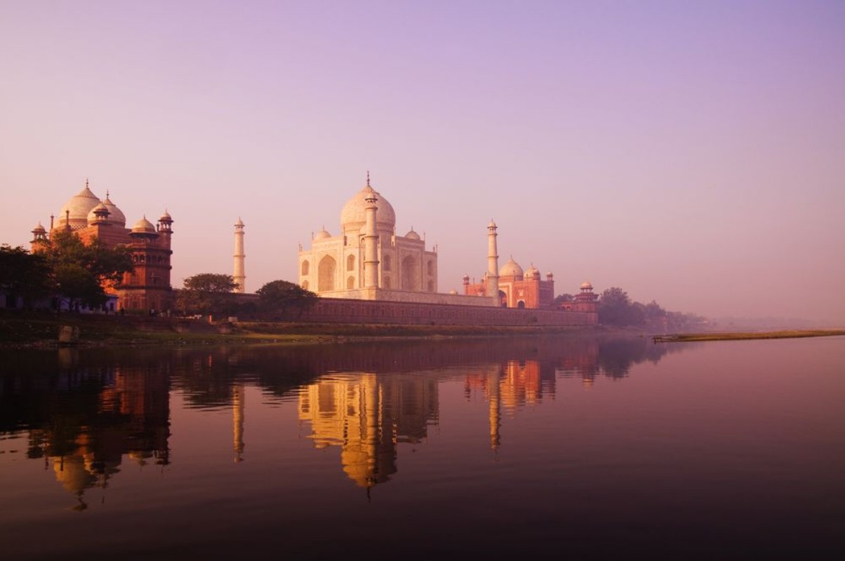 Image de Violet Taj Mahal