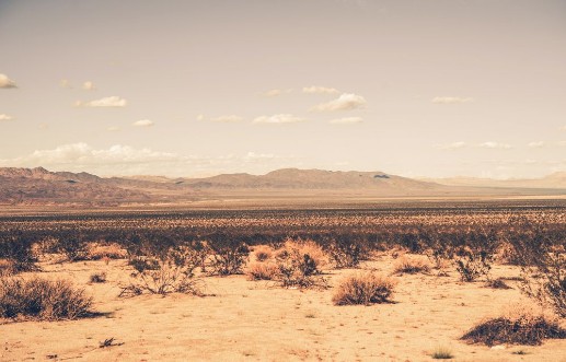 Picture of Southern California Desert