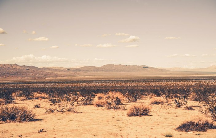 Picture of Southern California Desert