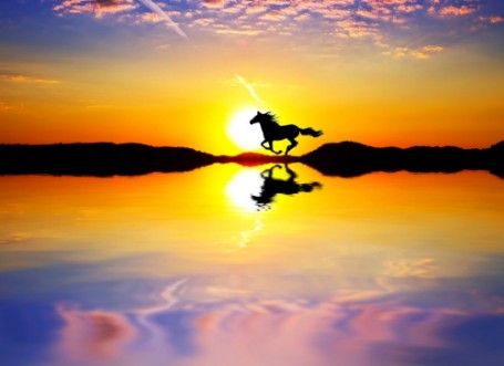 Picture of Pura raza por el lago del sol