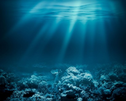 Picture of Sea deep or ocean underwater with coral reef as a background for