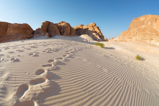 Bild på Desert