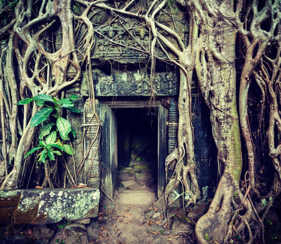 Afbeeldingen van Ancient stone door and tree roots Ta Prohm temple Angkor