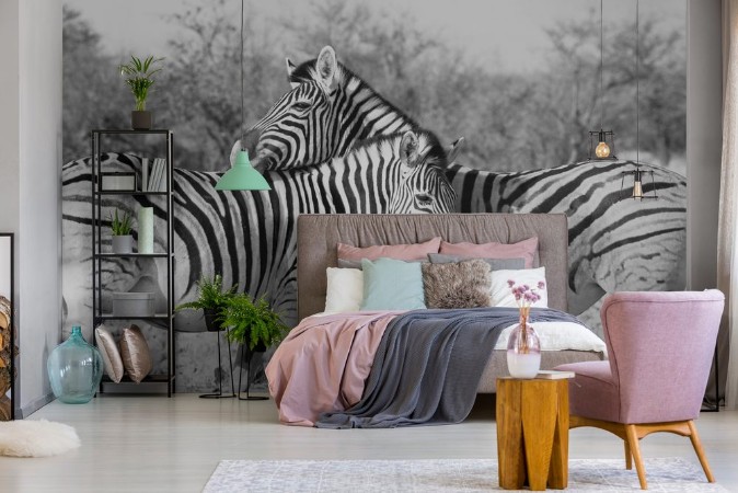 Picture of Zebras