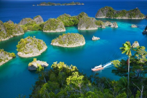 Picture of Fam Islands Indonesia