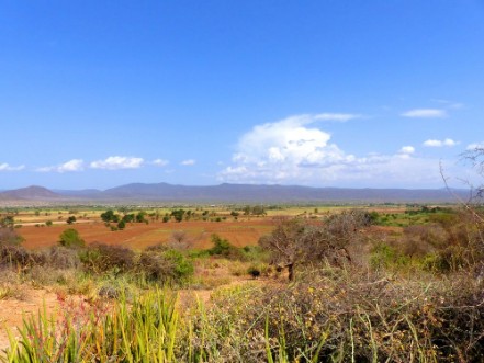 Bild på Landschaft nahe Gorofani Mangola Tansania Afrika