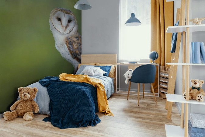 Afbeeldingen van Woodland Barn Owl 2